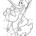 Пеликан с рыбой в клюве - раскраска №2102