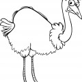 Улыбчивый страус - раскраска №11272