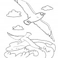 Чайки над волнами - раскраска №2226