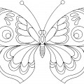 Бабочка  с красивым узором - раскраска №1846