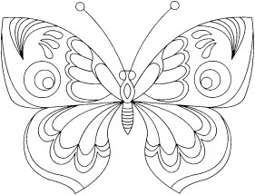 Бабочка  с красивым узором - раскраска					№1846