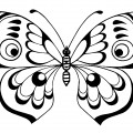 Бабочка павлиний глаз - раскраска №12828