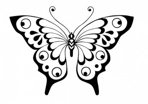 Бабочка с черным ободком - раскраска					№10375