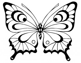 Красивая бабочка - раскраска					№9698