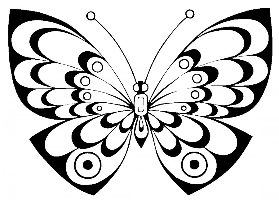 Отличная бабочка - раскраска №11211