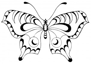 Чудесная бабочка - раскраска					№8549