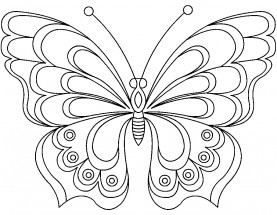 Шикарная бабочка - раскраска					№2052