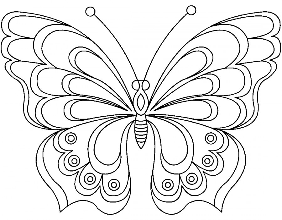 Шикарная бабочка - раскраска №2052