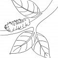 Гусеница на ветке - раскраска №7541