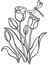 Стрекоза на тюльпанах - раскраска					№11248