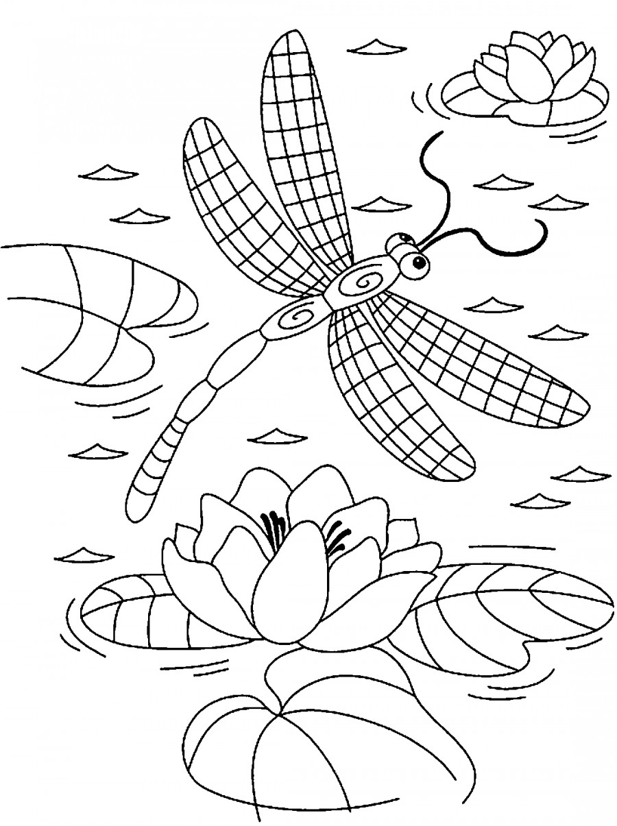Стрекоза с крыльями в клеточку - раскраска №2125