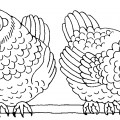 Две курицы - раскраска №2377