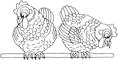 Две курицы - раскраска					№2377