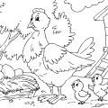 Курица на птичьем дворе - раскраска №13961