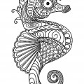 Интересный морской конек - раскраска №9854
