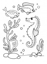 Морской конек и рыбки - раскраска					№13070