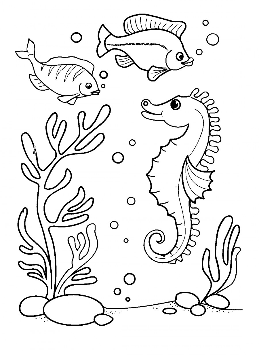 Морской конек и рыбки - раскраска №13070