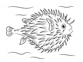 Пушистая рыба ёж - раскраска					№11726