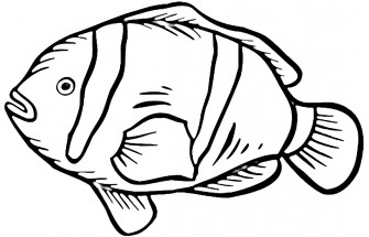 Рыба клоун с полосками - раскраска					№13722