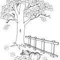 Дерево осенью - раскраска №3049