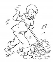 Мальчик сгребает листья - раскраска					№11496