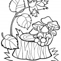 Осенние грибы - раскраска №14203