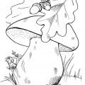 Осенний грибочек - раскраска №4184
