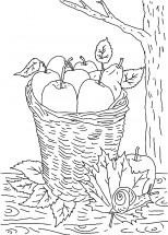 Осенний урожай в корзине - раскраска					№13655