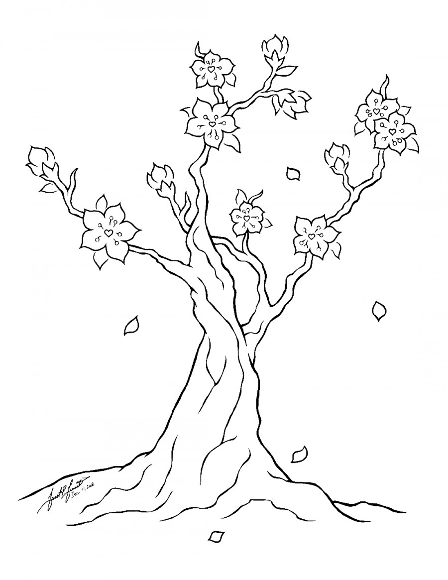 Вишневая сакура в цвету - раскраска №9626