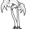 Две пальмы с орехами - раскраска №12244