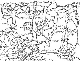 Тропические деревья - раскраска					№11787