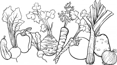 Подборка овощей - раскраска					№13227