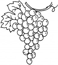 Гроздь винограда - раскраска					№4015