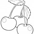 Глянцевые вишни - раскраска №8630