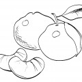 Дольки мандарина - раскраска №13378