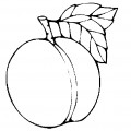 Персик с листочком - раскраска №4142