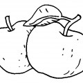Два яблока - раскраска №13077