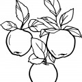 Три яблока висят - раскраска №9769