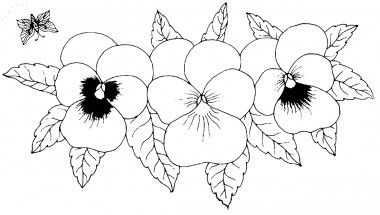 Большие цветы анютины глазки - раскраска					№3972