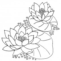 Цветы лилии - раскраска					№10168