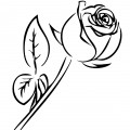 Одинокая роза - раскраска №13439