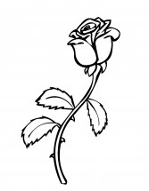 Одна роза - раскраска					№11316