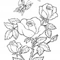 Розы - раскраска №13616