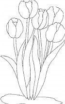 Пять тюльпанов - раскраска					№4016