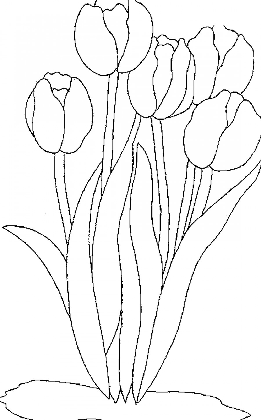 Пять тюльпанов - раскраска №4016
