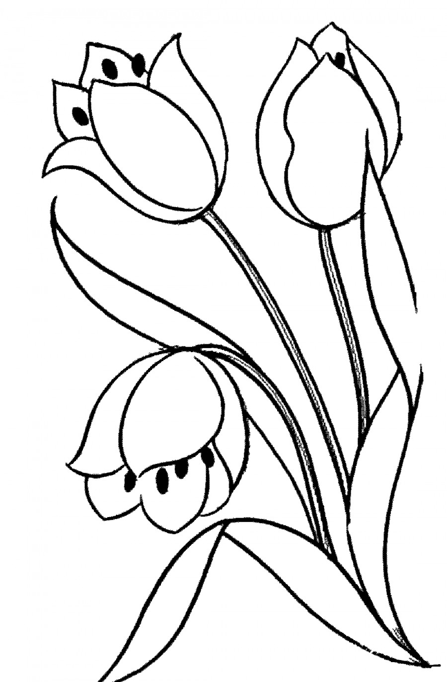 Три тюльпана - раскраска №12819