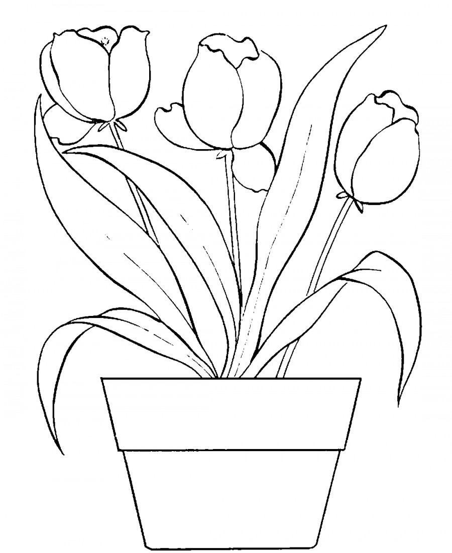 Тюльпаны в вазоне - раскраска №4116
