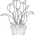 Тюльпаны в кадушке - раскраска №4033