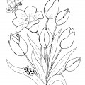 Тюльпаны и бабочка - раскраска №14070