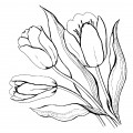 Тюльпаны - раскраска №4122